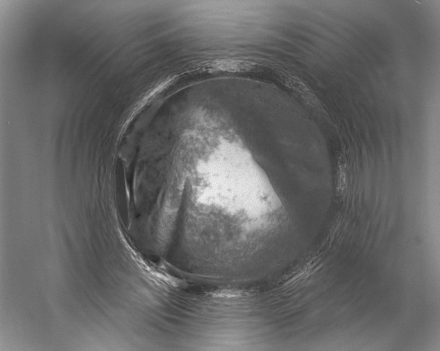 X0000058790444200510171324