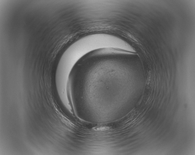 X0000058790452200510171324