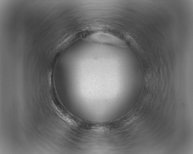 X0000058790454200510171324