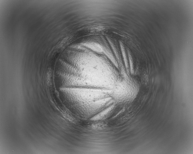 X0000058790468200510171325