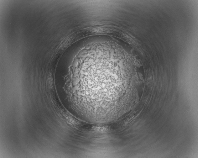 X0000058790469200510171325