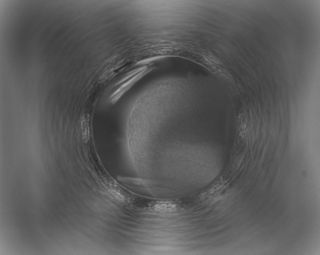 X0000058790471200510171325