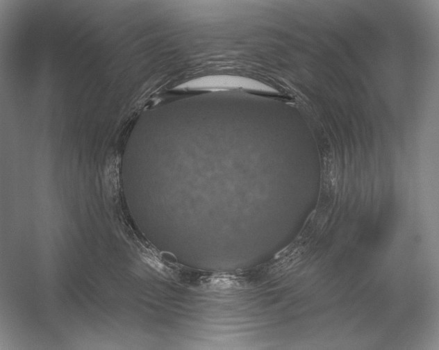 X0000058790475200510171325