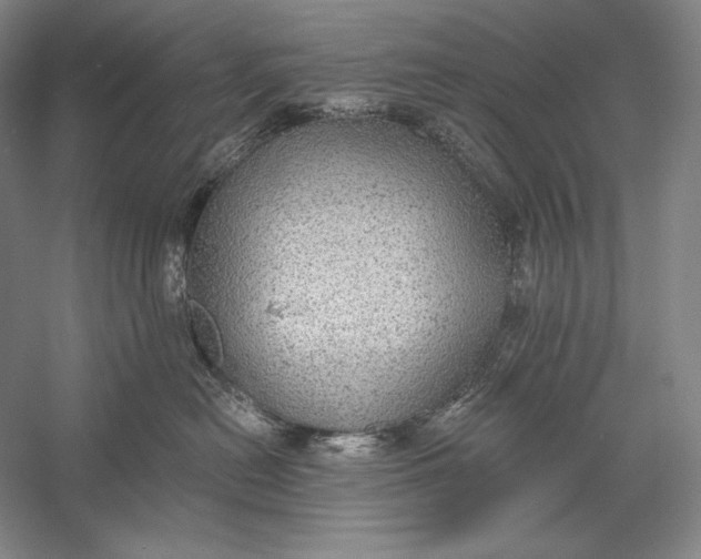 X0000058790478200510171325