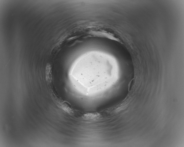X0000058790480200510171325