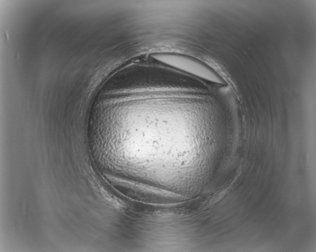 X0000058790481200510171324