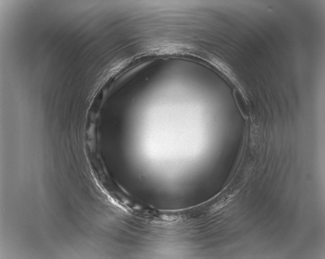 X0000058790485200510171324