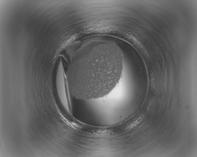 X0000058790493200510171324