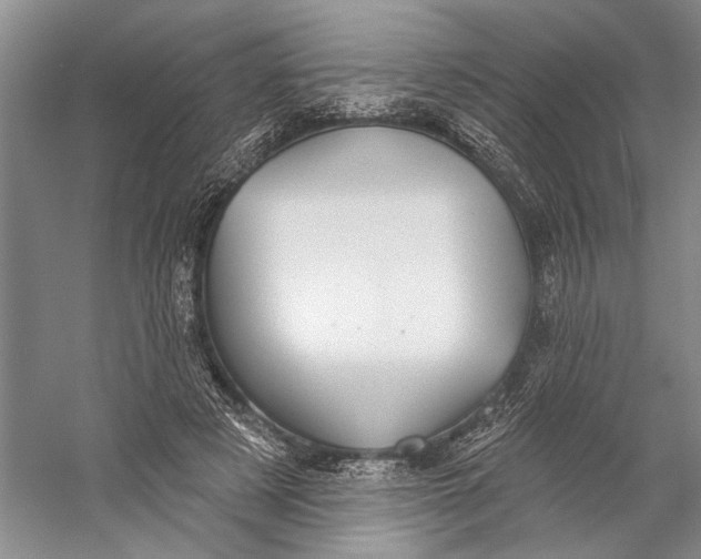 X0000058790497200510171324