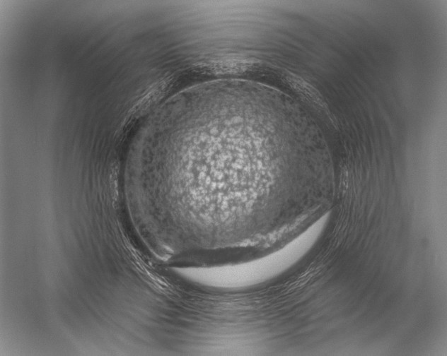 X0000058790501200510171324