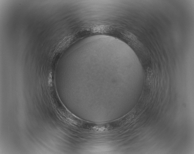 X0000058790502200510171324