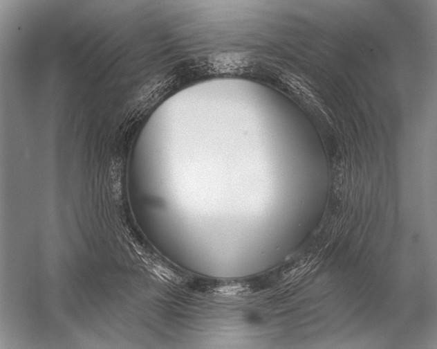 X0000058790505200510171324