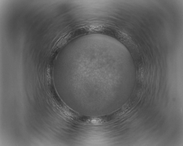 X0000058790506200510171324