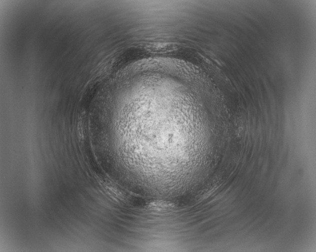X0000058790515200510171323