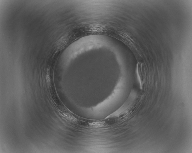 X0000058790516200510171323