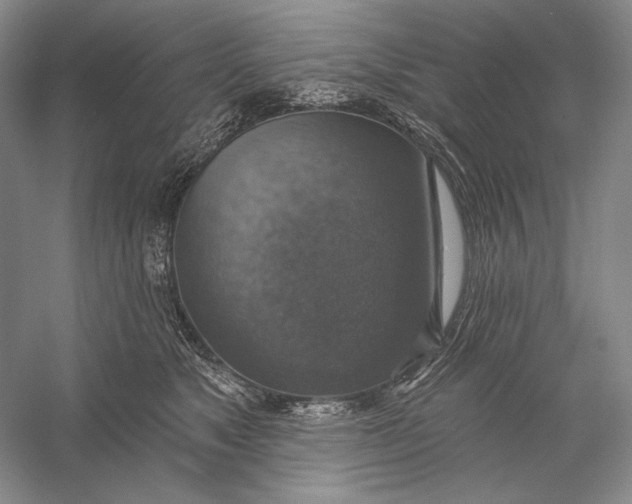 X0000058790517200510171323