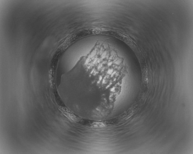 X0000058790519200510171323