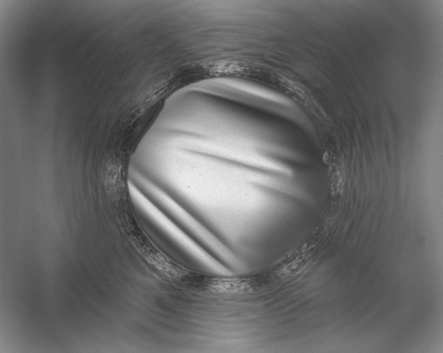 X0000058790521200510171323