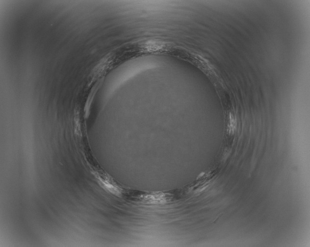 X0000058790524200510171323