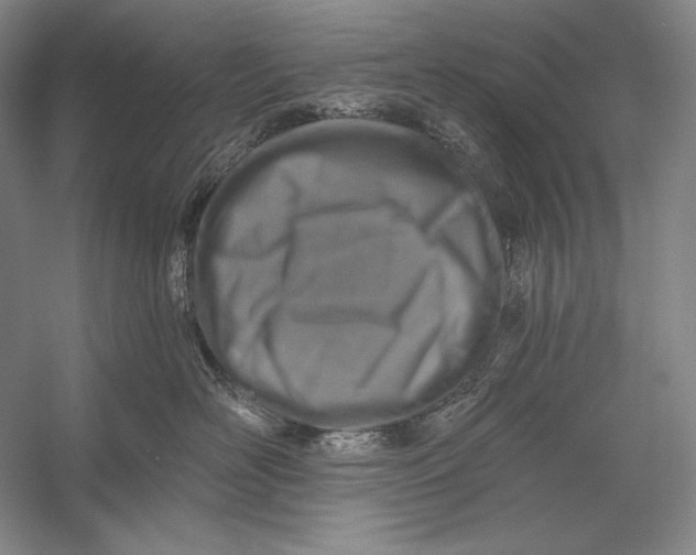 X0000058790526200510171323
