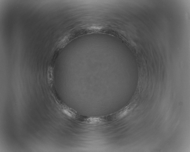 X0000058790528200510171323