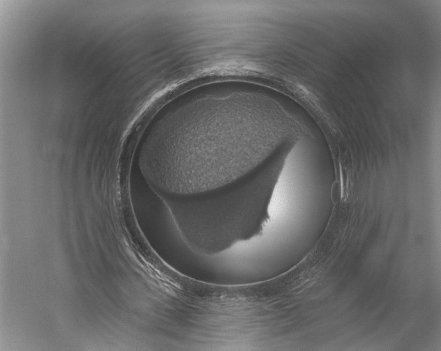 X0000058790531200510171322