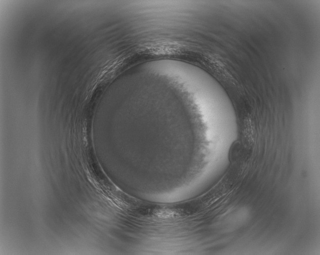 X0000058790547200510171323