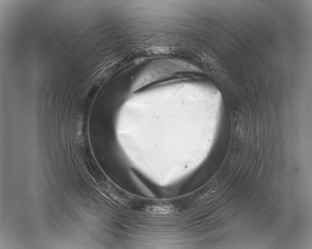 X0000058790548200510171323