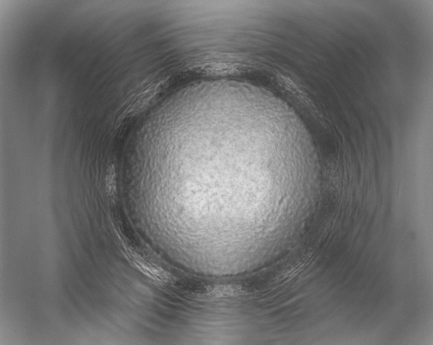 X0000058790549200510171323