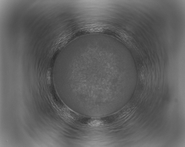 X0000058790551200510171323