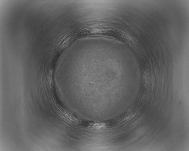 X0000058790554200510171323