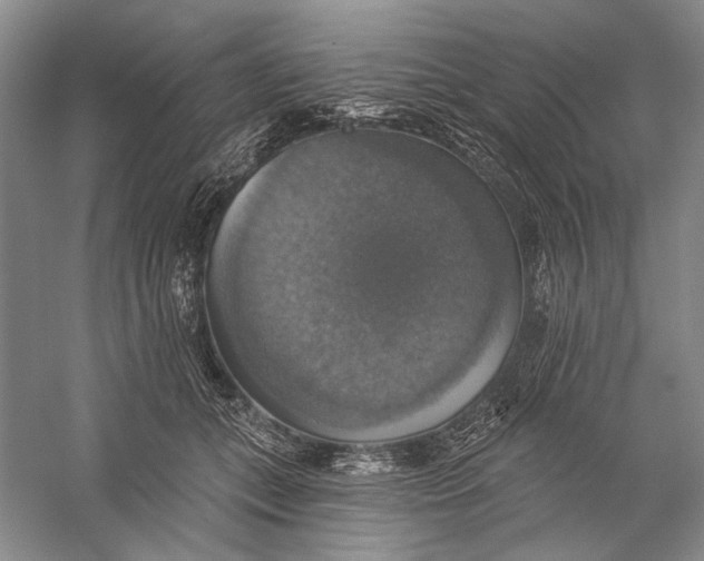 X0000058790559200510171323