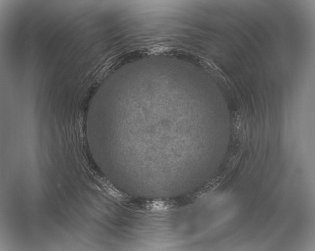 X0000058790565200510171323