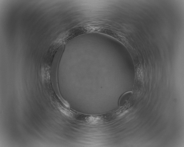 X0000058790570200510171323