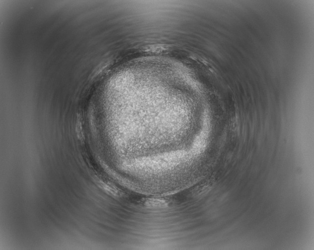 X0000058790572200510171323