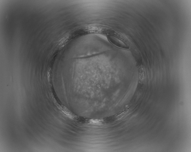 X0000058790573200510171323