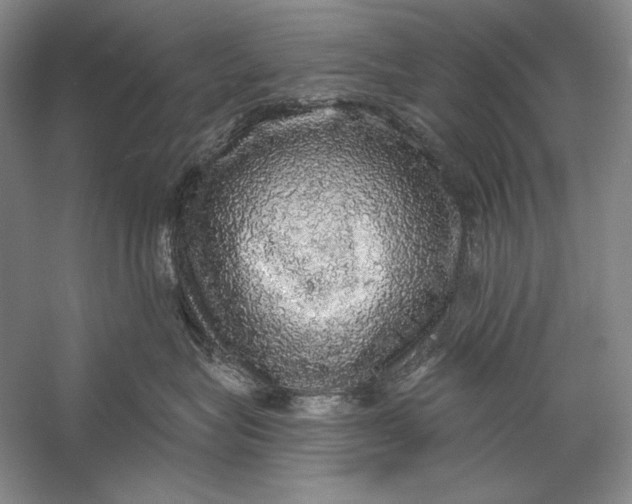 X0000058790575200510171323