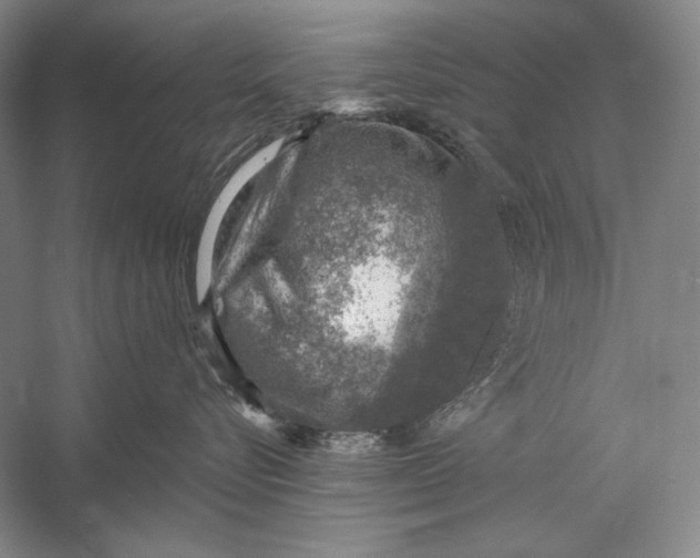 X0000058790576200510171323