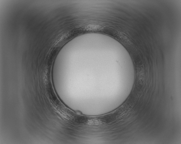 X0000058790591200510171322