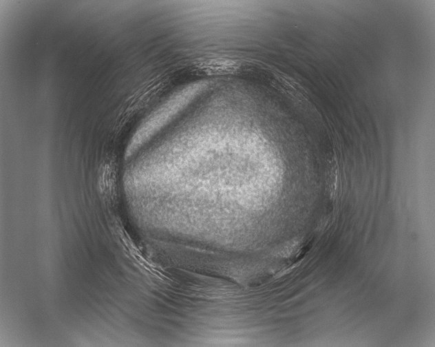 X0000058790604200510171322