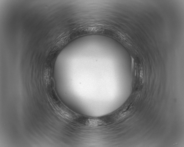X0000058790605200510171322