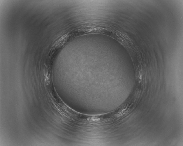 X0000058790607200510171322