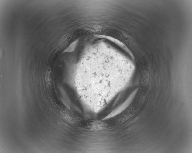 X0000058790612200510171322