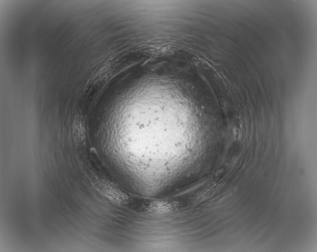 X0000058790613200510171322