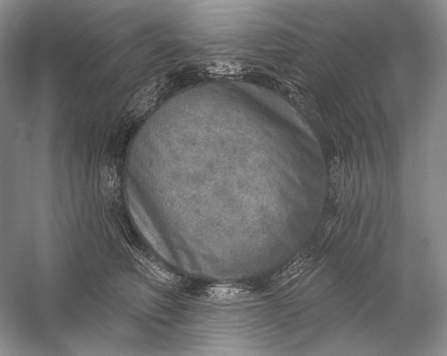 X0000058790614200510171322