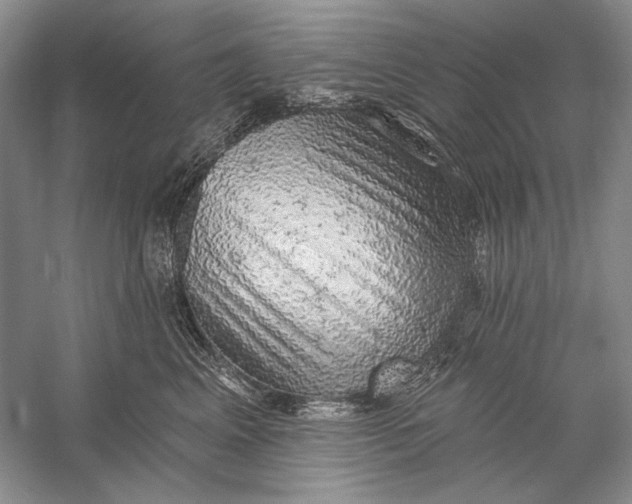X0000058790617200510171322