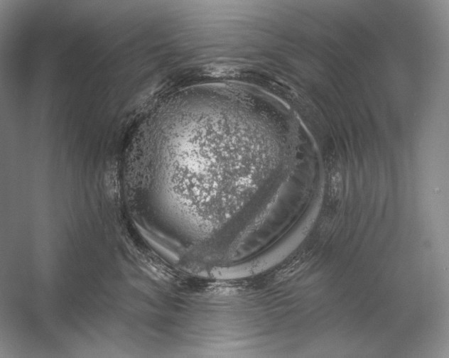 X0000058790620200510171322