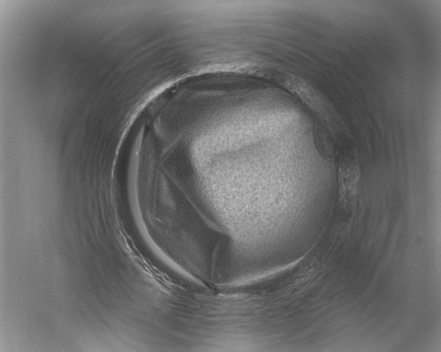 X0000058790628200510171321