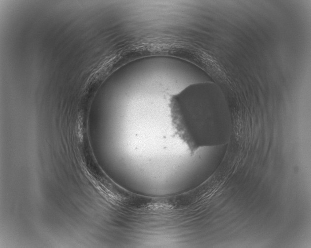 X0000058790644200510171321