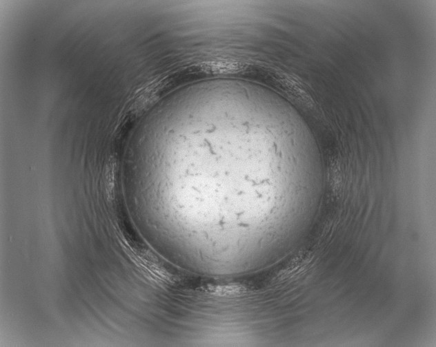 X0000058790645200510171321